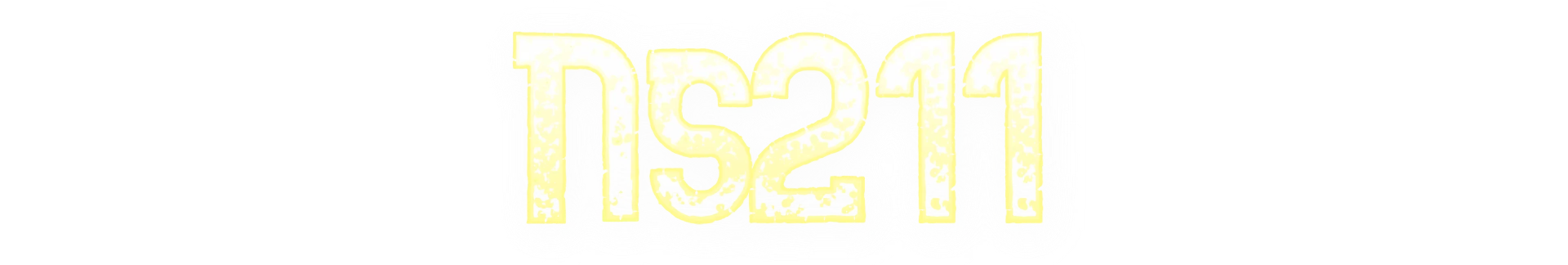 Ns211